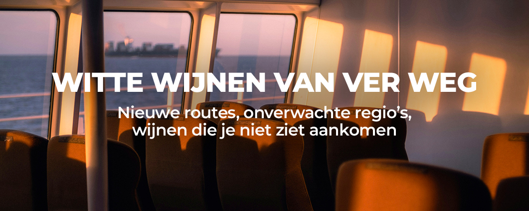 Ontdek de actie 
