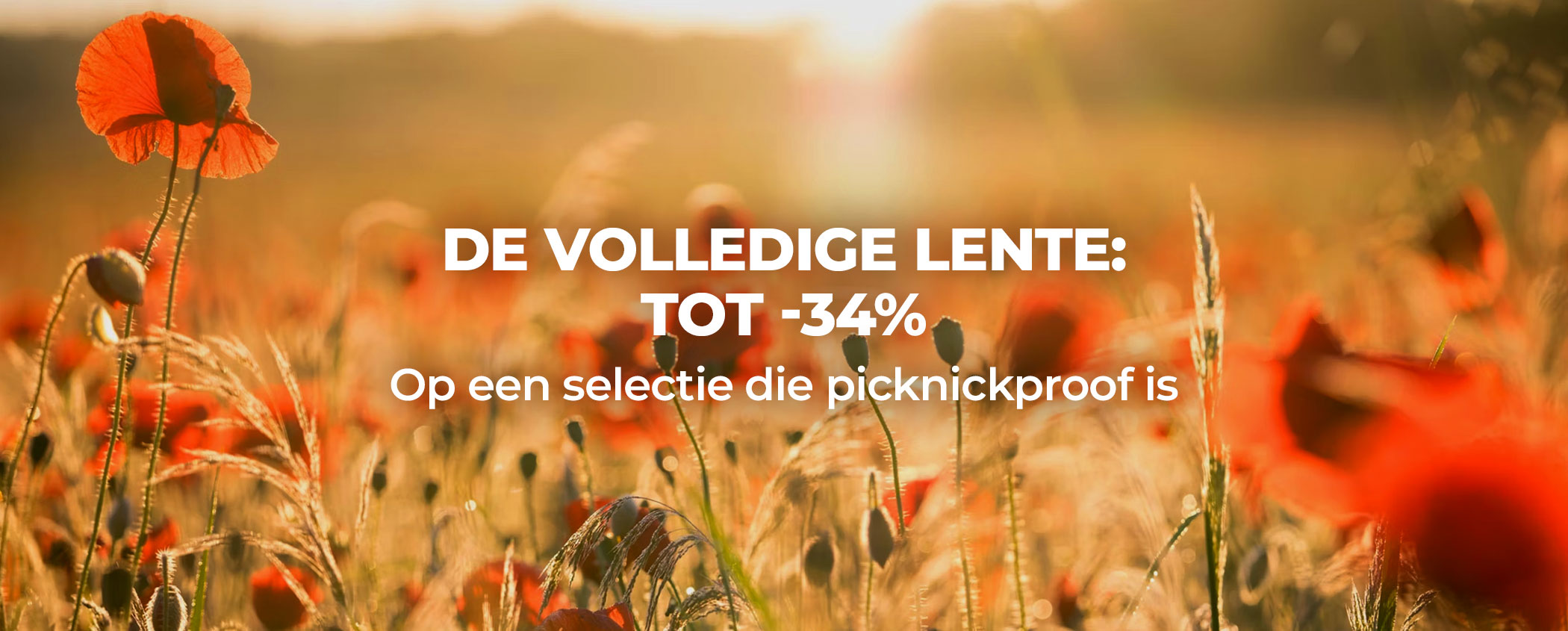 lente