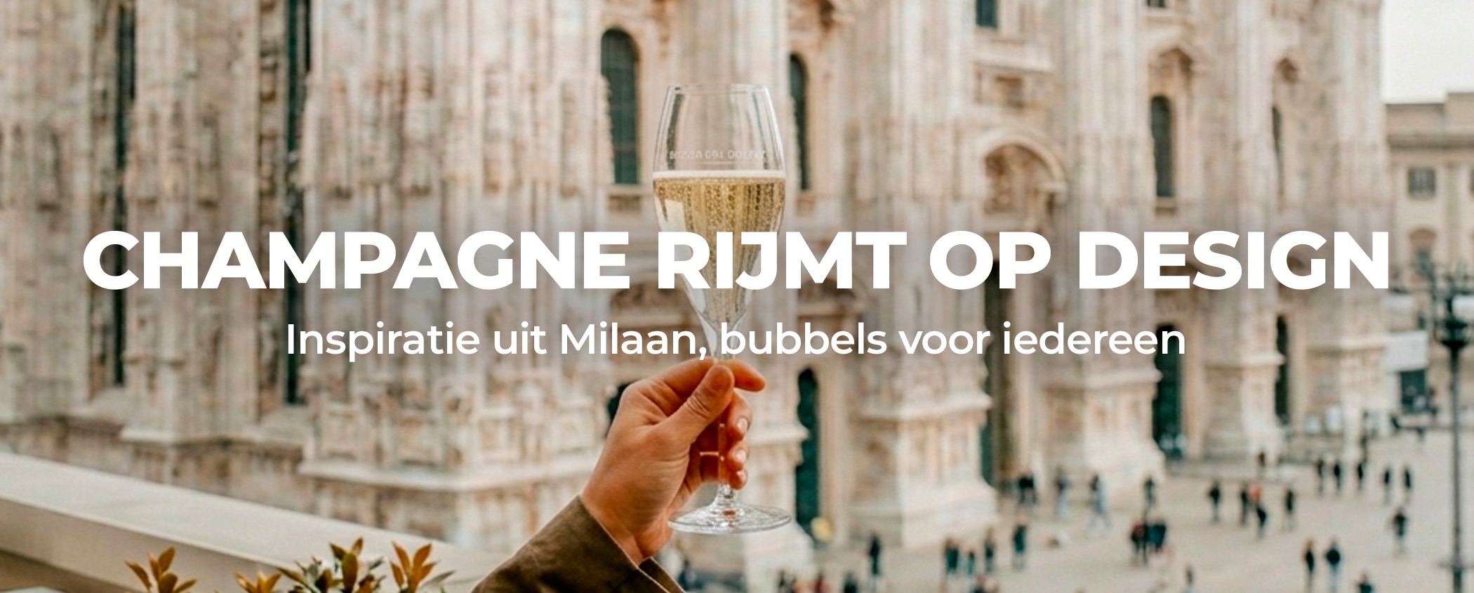 Probeer CHAMPAGNE RIJMT OP DESIGN