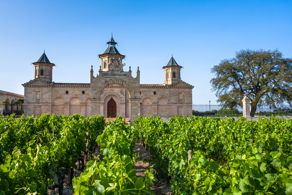 bordeaux vigne francesi